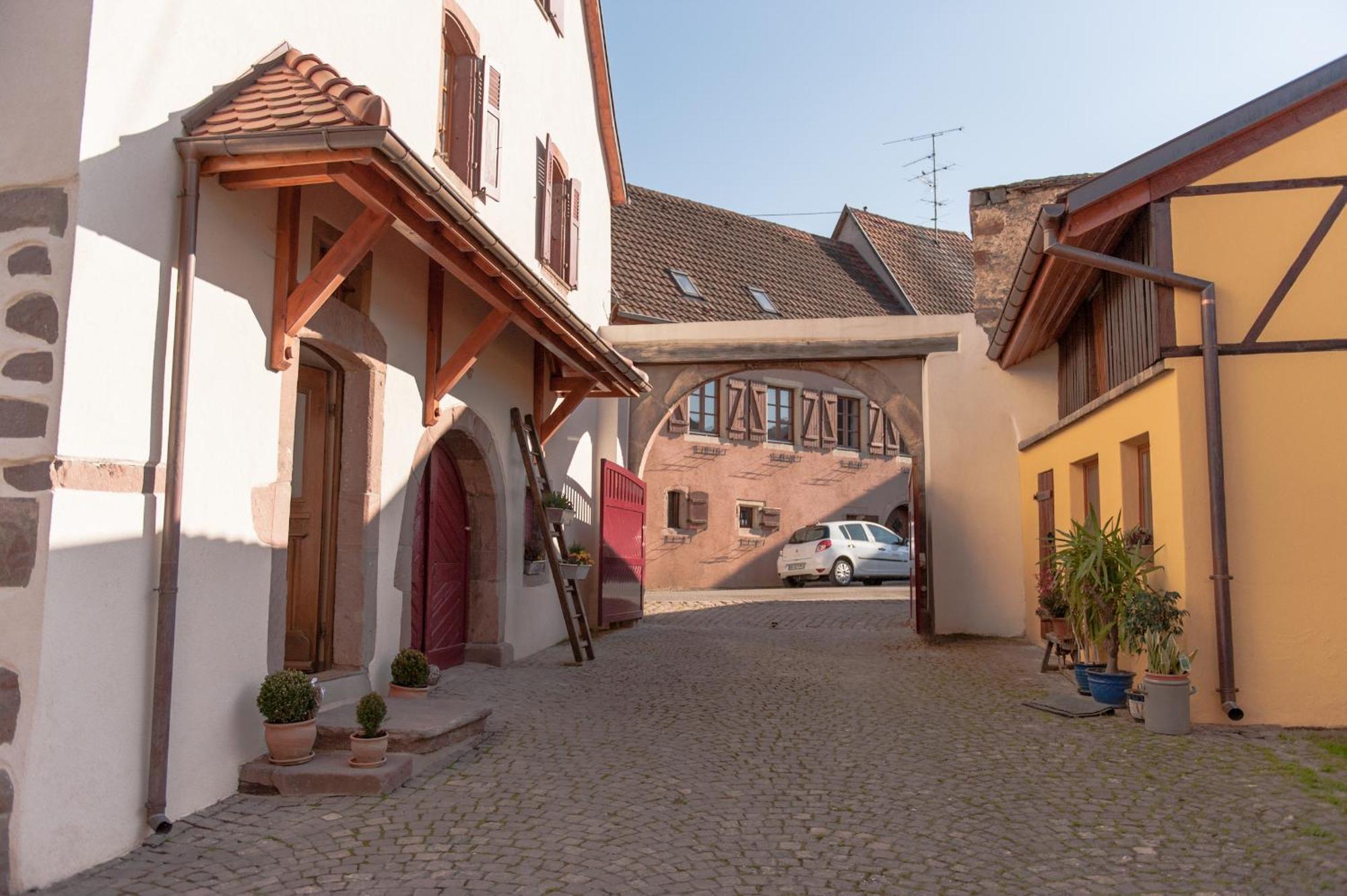 La Maison D'Emilie Pfaffenheim Екстериор снимка